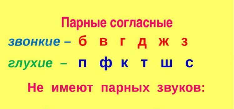 Парные согласные в русском языке для школьников и малышей Правописание слов с парной согласной в корне